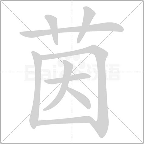 茵字意思|茵